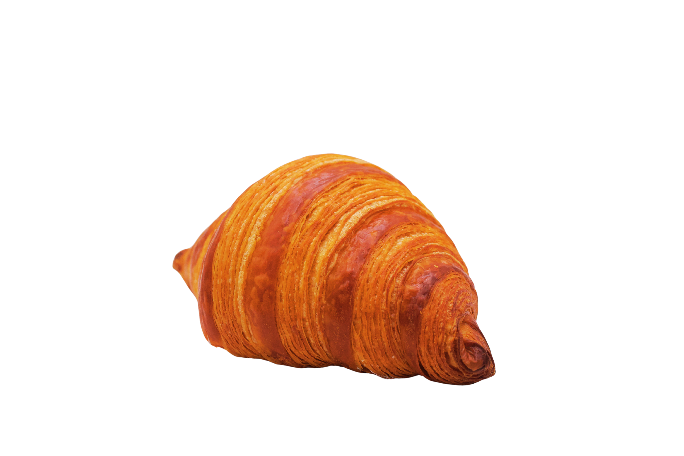 Butter Croissant